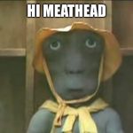 Meathead | HI MEATHEAD | image tagged in meathead | made w/ Imgflip meme maker