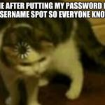 Buffering Cat | ME AFTER PUTTING MY PASSWORD IN THE USERNAME SPOT SO EVERYONE KNOWS IT | image tagged in buffering cat | made w/ Imgflip meme maker