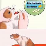 Sour Pills Cat