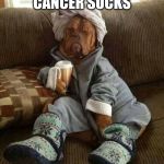 Dog Tired | THYROID CANCER SUCKS | image tagged in dog tired | made w/ Imgflip meme maker