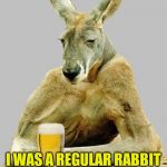 Cool Kangaroo | I WAS A REGULAR RABBIT      UNTIL I GREW A PAIR | image tagged in cool kangaroo | made w/ Imgflip meme maker