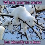 Snow bear | When you're snow; but identify as a bear | image tagged in snow bear,winter is here,snow,humor | made w/ Imgflip meme maker