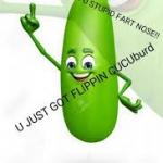 flippin cucuburd