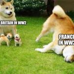 Doge fail | GREAT BRITAIN IN WW2; FRANCE IN WW2 | image tagged in doge fail | made w/ Imgflip meme maker