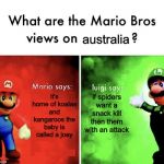What Are the Mario Bros views on... | australia; it's home of koalas and kangaroos the baby is called a joey; if spiders want a snack kill then them with an attack | image tagged in what are the mario bros views on | made w/ Imgflip meme maker