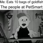 Surprised Porky | Me: Eats 10 bags of goldfish; The people at PetSmart: | image tagged in surprised porky | made w/ Imgflip meme maker