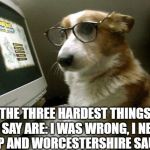 Smart Dog | THE THREE HARDEST THINGS TO SAY ARE: I WAS WRONG, I NEED HELP AND WORCESTERSHIRE SAUCE. | image tagged in smart dog | made w/ Imgflip meme maker