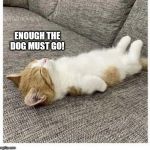 cat | ENOUGH THE DOG MUST GO! | image tagged in cat | made w/ Imgflip meme maker