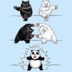Panda fusion meme