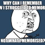 YU NO Guy | WHY CAN I REMEMBER HOW I STRUGGLED TO MEMORISE; BUT NOT WHAT I MEMORISED???? | image tagged in yu no guy | made w/ Imgflip meme maker