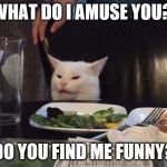 Smudge the Cat | WHAT DO I AMUSE YOU? DO YOU FIND ME FUNNY? | image tagged in smudge the cat | made w/ Imgflip meme maker