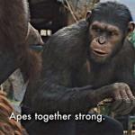 Apes strong together