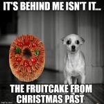 The Fruitcake that won't go away | IT'S BEHIND ME ISN'T IT... THE FRUITCAKE FROM      CHRISTMAS PAST | image tagged in it's behind me isn't it,memes,christmas gifts,one does not simply,scared dog,go away | made w/ Imgflip meme maker