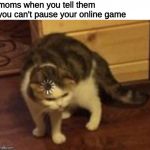 Cat loading | moms when you tell them you can't pause your online game | image tagged in cat loading,memes,cringe,mom,moms,karen | made w/ Imgflip meme maker