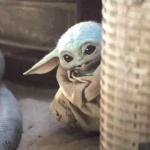 Hiding baby Yoda meme