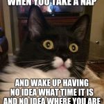 Suprised cat | WHEN YOU TAKE A NAP; AND WAKE UP HAVING NO IDEA WHAT TIME IT IS AND NO IDEA WHERE YOU ARE | image tagged in suprised cat | made w/ Imgflip meme maker