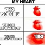 I am afraid. I am very afraid. | *SEES VSCO GIRL*; *VSCO GIRL WALKS TOWARDS ME*; *DIES*; *VSCO GIRL ACCIDENTALLY TOUCHES ME* | image tagged in heartbeat,vsco | made w/ Imgflip meme maker