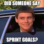 Did someone say whisky? | DID SOMEONE SAY; SPRINT GOALS? | image tagged in did someone say whisky | made w/ Imgflip meme maker