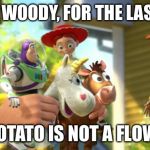 Toy Story 3 ending | LISTEN WOODY, FOR THE LAST TIME; A POTATO IS NOT A FLOWER | image tagged in toy story 3 ending | made w/ Imgflip meme maker