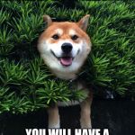 happy doggo | YOU HAVE BEEN VISITED BY HAPPY TREE DOGGO; YOU WILL HAVE A VERY GOOD YEAR IN 2020 | image tagged in this is fine and i am happy | made w/ Imgflip meme maker