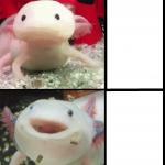 Annoyed Axolotl meme