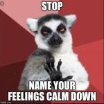 Emotional Lemur | STOP; NAME YOUR FEELINGS CALM DOWN | image tagged in emotional lemur | made w/ Imgflip meme maker