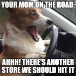 dog driving | YOUR MOM ON THE ROAD:; AHHH! THERE'S ANOTHER STORE WE SHOULD HIT IT | image tagged in dog driving | made w/ Imgflip meme maker