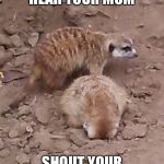 Meerkat sticking face in ground | WHEN YOU HEAR YOUR MOM; SHOUT YOUR FULL NAME | image tagged in meerkat sticking face in ground | made w/ Imgflip meme maker