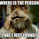 master splinter | WHERE IS THE PERSON; THAT I JUST FOUND? | image tagged in master splinter | made w/ Imgflip meme maker