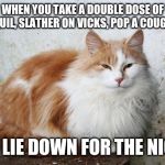 Satisfied Cat | WHEN YOU TAKE A DOUBLE DOSE OF NIGHTQUIL, SLATHER ON VICKS, POP A COUGH DROP; AND LIE DOWN FOR THE NIGHT. | image tagged in satisfied cat | made w/ Imgflip meme maker