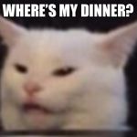 Cat | WHERE’S MY DINNER? | image tagged in cat | made w/ Imgflip meme maker