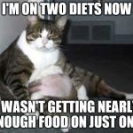Fat cat | I'M ON TWO DIETS NOW; I WASN'T GETTING NEARLY ENOUGH FOOD ON JUST ONE. | image tagged in fat cat | made w/ Imgflip meme maker