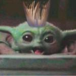 Baby Yoda