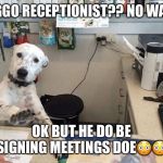 Dog Receptionist | DOGGO RECEPTIONIST?? NO WAI🥶; OK BUT HE DO BE ASSIGNING MEETINGS DOE😳😳😳 | image tagged in dog receptionist | made w/ Imgflip meme maker