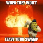 Pyromaniac Shrek | WHEN THEY WON’T; LEAVE YOUR SWAMP | image tagged in pyromaniac shrek | made w/ Imgflip meme maker