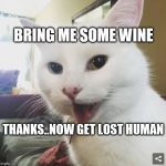 Smudge | BRING ME SOME WINE; THANKS..NOW GET LOST HUMAN | image tagged in smudge | made w/ Imgflip meme maker