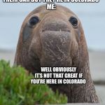 elephant seal | ME WHEN SOMEONE HAS A I LOVE TEXAS STICKER ON THEIR CAR BUT THEY’RE IN COLORADO 
ME:; WELL OBVIOUSLY IT’S NOT THAT GREAT IF YOU’RE HERE IN COLORADO | image tagged in elephant seal | made w/ Imgflip meme maker
