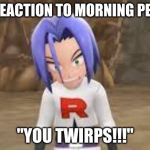 "Twirps!" James Team Rocket | MY REACTION TO MORNING PEOPLE; "YOU TWIRPS!!!" | image tagged in twirps james team rocket | made w/ Imgflip meme maker