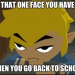 Frustrated Link | THAT ONE FACE YOU HAVE; WHEN YOU GO BACK TO SCHOOL | image tagged in frustrated link | made w/ Imgflip meme maker