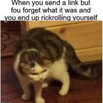 Confused loading cat | When you send a link but fou forget what it was and you end up rickrolling yourself | image tagged in confused loading cat | made w/ Imgflip meme maker