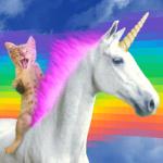 I love Kittens and Unicorns!!!! meme