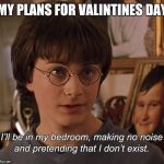 Harry Potter | MY PLANS FOR VALINTINES DAY | image tagged in harry potter | made w/ Imgflip meme maker