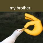 Shut Bird | me:*says anything*; my brother: | image tagged in shut bird | made w/ Imgflip meme maker