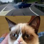 Grumpy cat your point