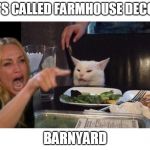 Girl In Cat's Face | IT'S CALLED FARMHOUSE DECOR; BARNYARD | image tagged in girl in cat's face | made w/ Imgflip meme maker