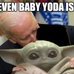 Biden sniffs Baby Yoda | NOT EVEN BABY YODA IS SAFE | image tagged in biden sniffs baby yoda | made w/ Imgflip meme maker