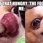 Hungry dog | ME:I'M NOT THAT HUNGRY *THE FOOD COMES*
ME: | image tagged in hungry dog | made w/ Imgflip meme maker