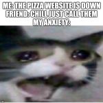 crying cat | ME: THE PIZZA WEBSITE IS DOWN
FRIEND: CHILL JUST CALL THEM
MY ANXIETY: | image tagged in crying cat | made w/ Imgflip meme maker