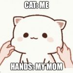 Kitty | CAT: ME; HANDS: MY MOM | image tagged in kitty | made w/ Imgflip meme maker