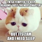 Sad Cat | I'M SO TEMPTED TO KEEP READING "JUST THE NEXT CHAPTER"; BUT ITS 2AM AND I NEED SLEEP | image tagged in sad cat | made w/ Imgflip meme maker